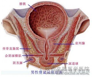 ǰӰ푑І᣿